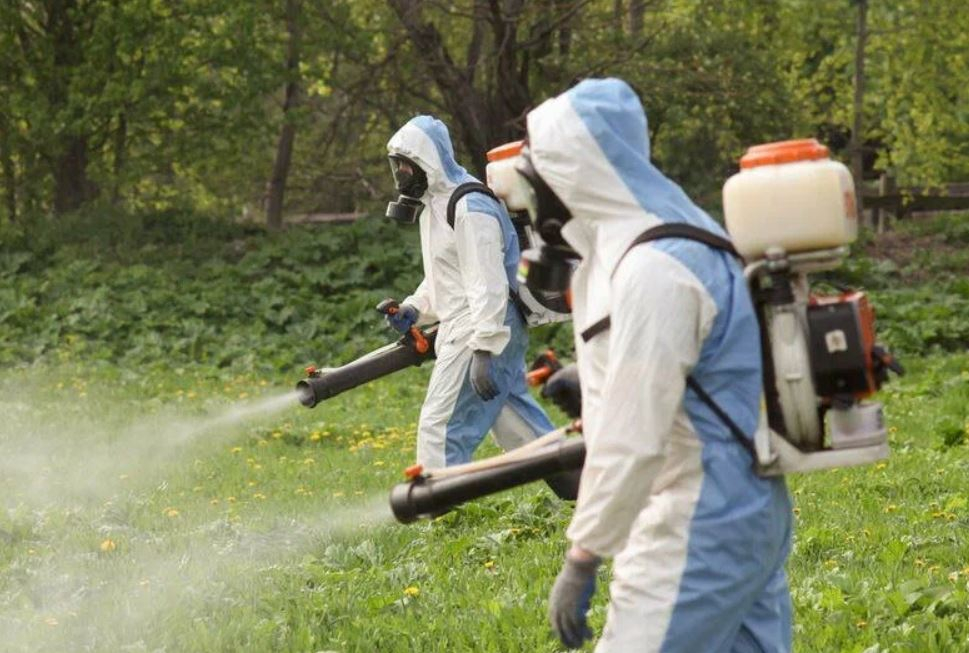 ФОТО Уничтожение клопов в Видимом