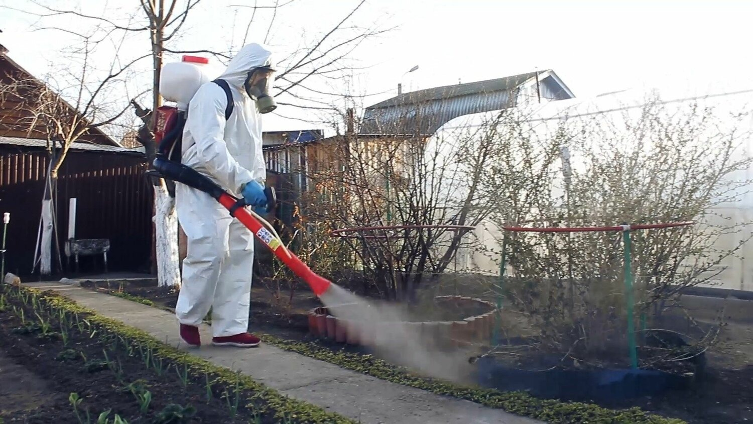ФОТО Уничтожение муравьёв в Видимом