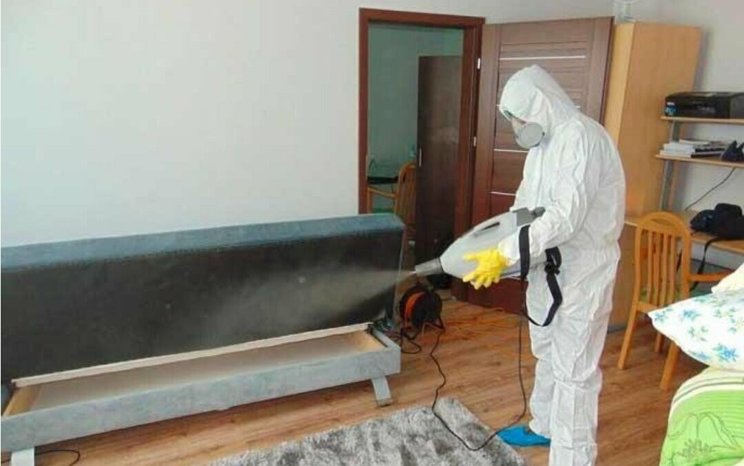 ФОТО Уничтожение блох в Видимом