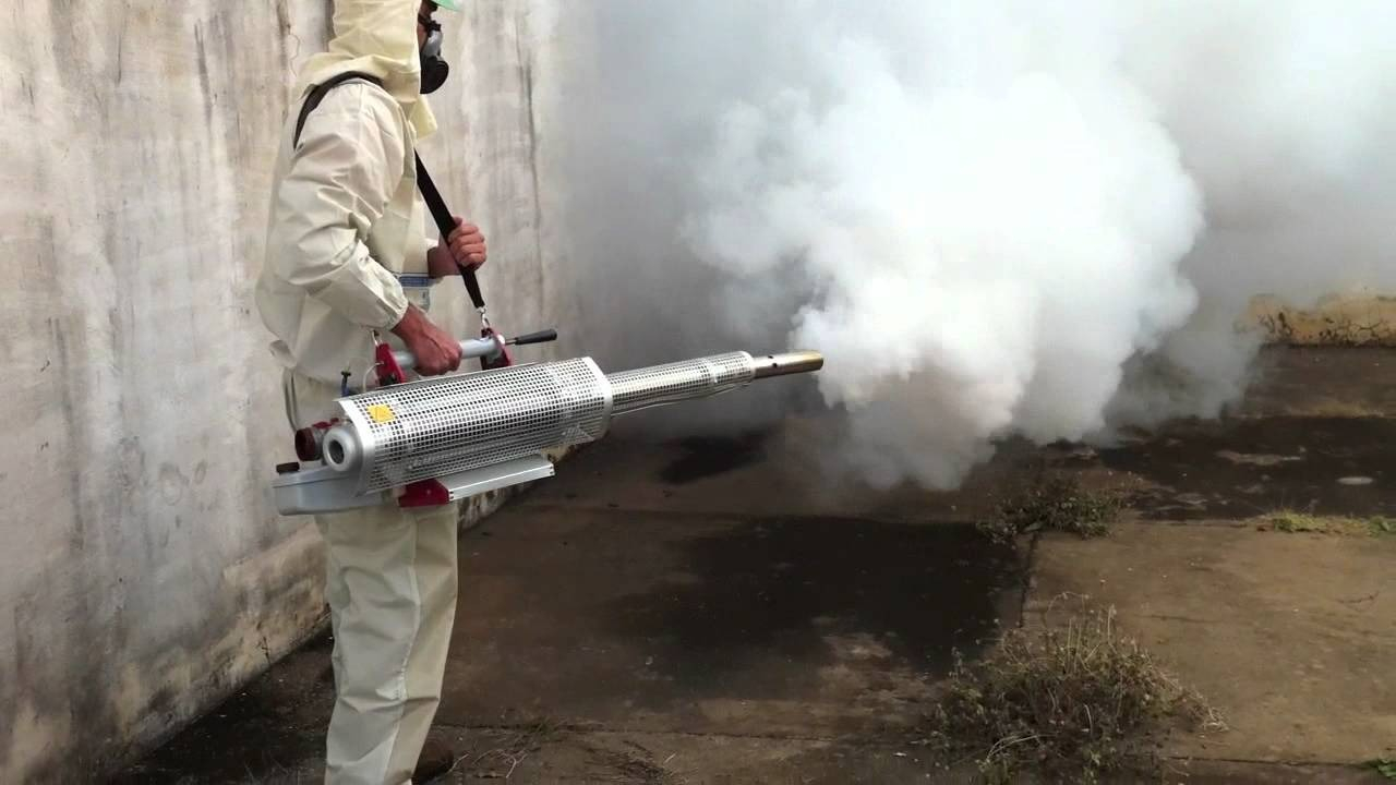 ФОТО Уничтожение мух в Видимом