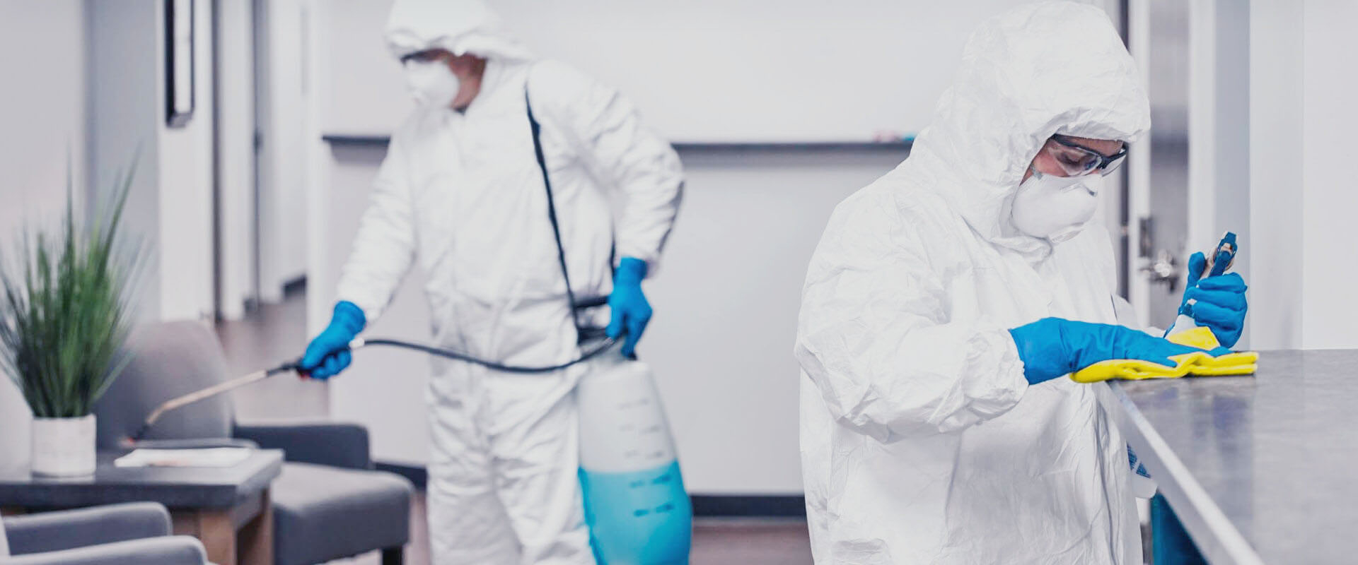 ФОТО В чем разница между дезинфекцией и дезинсекцией в Видимом? | подробно