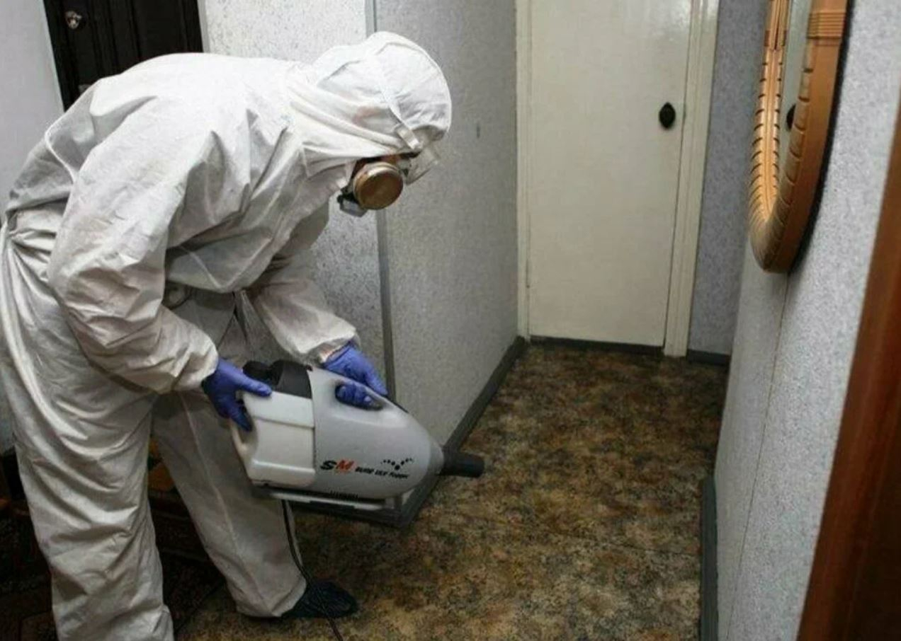 ФОТО Какие методы обработки для дезинсекции существуют в Видимом? | подробно