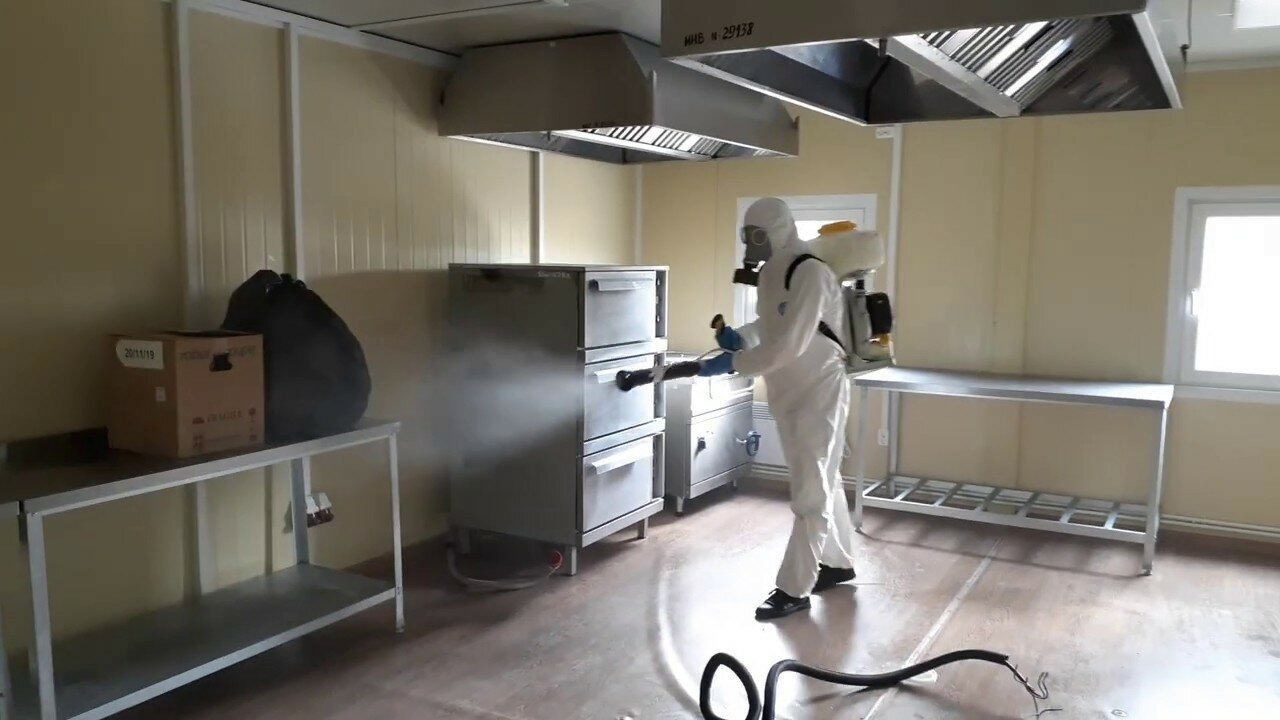 ФОТО Можно ли провести дезинсекцию самостоятельно и какие существуют риски в Видимом? | подробно