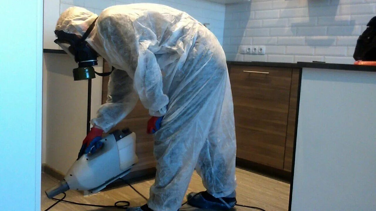 ФОТО Как подготовить домашних животных к обработке от насекомых в Видимом? | подробно