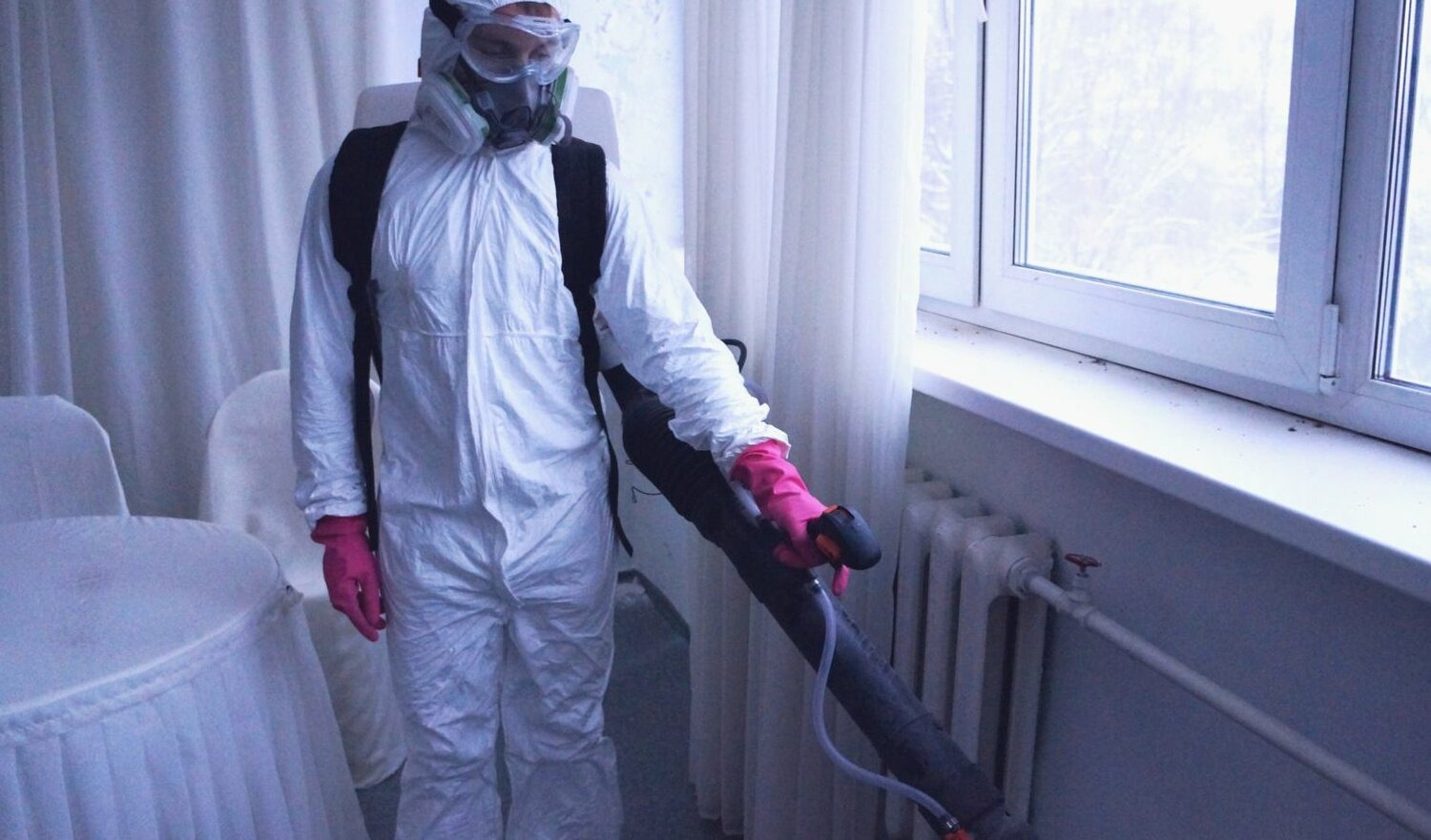 ФОТО Нужно ли выносить растения при дезинсекции в Видимом? | подробно