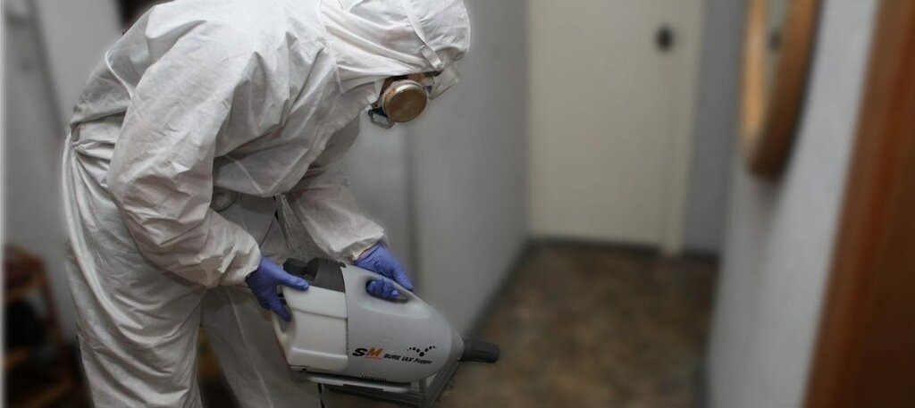 ФОТО Остаются ли следы после обработки квартиры от насекомых в Видимом? | подробно